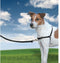 PetSafe Easy Walk® - Hondentuigje - Zwart - M - 51-71 cm