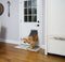 PetSafe Extreme Weather Door™ Small