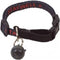 Petsafe - Kattenluik Halsbandsleutel / Magneet 480