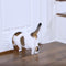 PetSafe Staywell® Cat Corridor - Kattendoorgang voor binnenshuis - Overschilderbaar design - Voor katten tot 9 kg - Staywell Cat Corridor