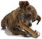 Petstages Durable Stick M