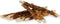 Petstyle Living Gedraaide Sticks met Eend - Hondensnacks - 30 Stuks
