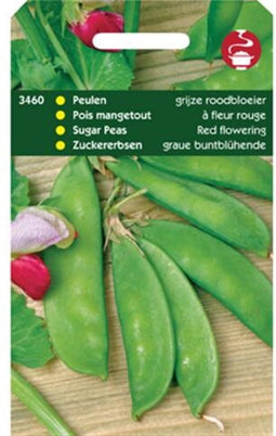 Peulen Grijze Roodbloeiers