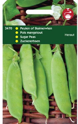 Peulen Heraut