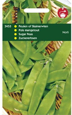 Peulen Norli