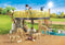 PLAYMOBIL Family Fun Leeuwen in het buitenverblijf - 71192