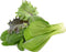 Click & Grow refill zadenmix Asian Cuisine