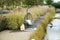 Garden Impressions - Schommelstoel Wellington