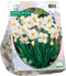 2 stuks Narcis Actea per 12Baltus