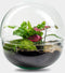 Biodome Bush