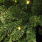 Black Box Trees Charlton Kunstkerstboom met LED Verlichting - H215 cm - Groen