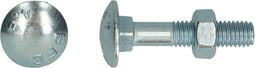 PGB-FASTENERS | Houtbout 4.8 DIN 603/555 M10x160 Zn | 50 st