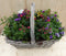 Hengselmand 40x25 cm zomerbloeiers kleurenmix I