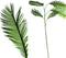 PTMD Cycas Kunsttak - 17 x 41 x 129 cm - Groen