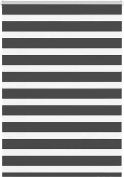 vidaXL - Zebra - rolgordijn - 110x100 - cm - stofbreedte - 105,9 - cm - zwart