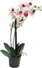 Phalaenopsis Orchidee in pot 50 cm roze kunstplant