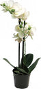 Phalaenopsis Orchidee In Pot 50 cm wit kunstplant