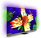 Philips 55OLED907/12 - 55 inch - 4K OLED - 2022