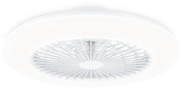 Philips Amigo plafondverlichting met ventilator 42+20 W