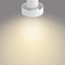 Philips Bukko Opbouwspot - LED - SceneSwitch - Wit - 4,3W - 430 lumen