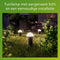 Philips Edwina GardenLink - 3-pack - Sokkellamp met spies - 24V - Warm wit licht; 2700K - Zwart - Tuinpadverlichting