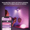 Philips Hue Flourish Tafellamp - White and Color Ambiance - E27 - Wit - 9,5W - Bluetooth