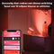 Philips Hue Iris Tafellamp - White and Color Ambiance - Gëintegreerd LED - Koper - 8,1W - Bluetooth - Limited Edition