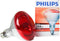 Philips - Incandescent reflector lamp Gloeilamp 871150057520325