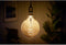 Philips LED classic Vintage - XL-Globe - E27 - 5 W - Warmwit