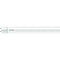 Philips Lighting 31684300 LED 1 stuk(s)