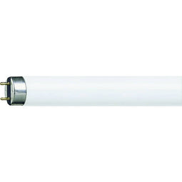 Philips Lighting MASTER TL-D Super 80 58W/840 1SL/25 TL-lamp 10 stuk(s)