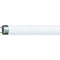 Philips Lighting MASTER TL-D Super 80 58W/840 1SL/25 TL-lamp 10 stuk(s)