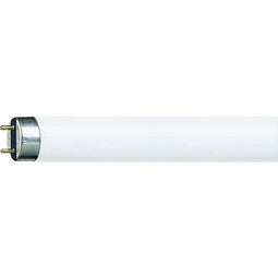 Philips Lighting MASTER TL-D Super 80 58W/865 1SL/25 TL-lamp 10 stuk(s)