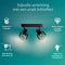 Philips Sleet Spot - Plafondspot met twee lichtpunten - Met gerookt glas - Kleine fitting E14