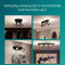 Philips Sleet Spot - Wandspot - Met gerookt glas - Kleine fitting E14