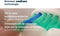 Philips Sonicare ProResults HX6014/07 - Opzetborstel - 4 stuks