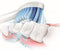 Philips Sonicare Sensitive standaard HX6052/07 - Opzetborstel - 2 stuks
