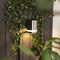 Smartwares 10.030.77 - Wandlamp Solar - 0,5 W - 35 Lumen - RVS - IP44
