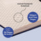 Dingbats A5+ Wildlife Blue Whale Notebook - Plain