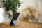 PhoneStand MOFT; GREEN