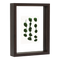 Photo frame Floating Walnut, S Brown / MDF