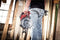 SKIL 3572FA XP - 20V cirkelzaag - borstelloze motor 66mm (zonder accu)