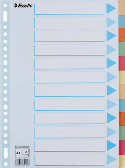 Esselte Kartonnen Tabbladen met 12 Tabs