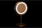 Vergrotende Spiegel met Led DKD Home Decor 21,5 x 13,5 x 32,5 cm Zilverkleurig Metaal