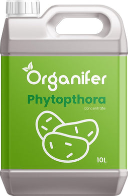 Phytophthora Concentraat 10L - Voor 10.000m2 - Aardappelziekte Bestrijding - Voorkomt en geneest Aardappelplanten en Tomatenplanten - Organifer