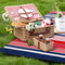 Picknickdeken met handvat - warmte-isolerend & waterdicht meer kleurig