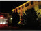 Picotronic Sterrenhemel projector DOE Groen 5 mW STAR-PROJECTOR-NANO