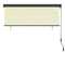 Rolgordijn voor buiten 160x250 cm crme