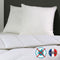 Pillow DODO 60 x 60 cm