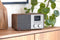 Pinell Supersound 301 - DAB+ Internetradio - Spotify Connect - walnoot hout